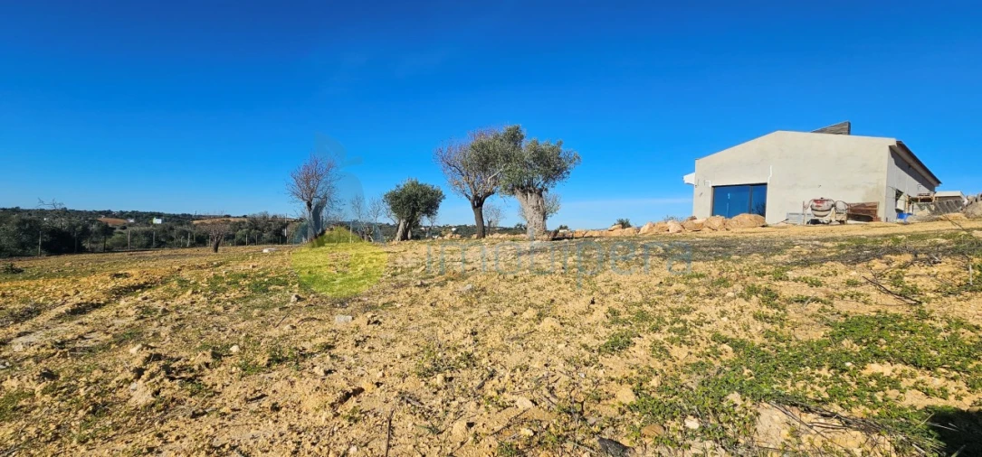 Moradia T4 para Venda em Algoz e Tunes Foto 6