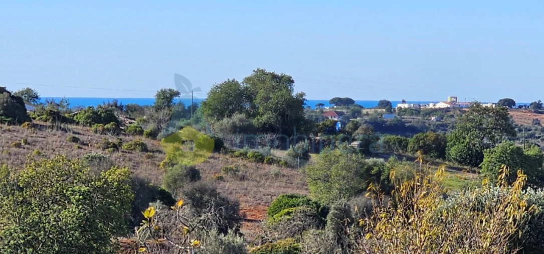 Moradia T4 para Venda em Algoz e Tunes Foto 10