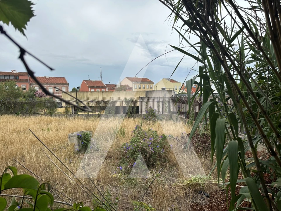 Terreno para Venda em Ajuda Foto 6