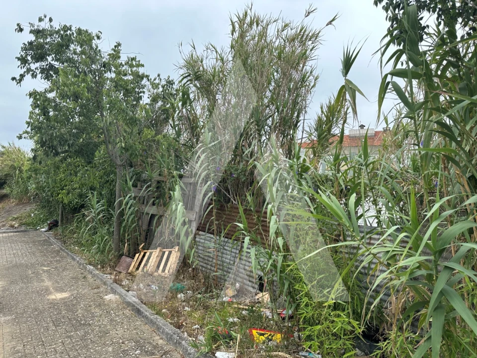 Terreno para Venda em Ajuda Foto 7