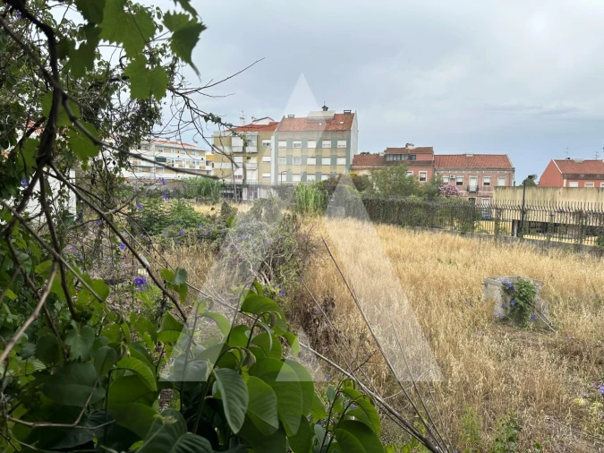 Terreno para Venda em Ajuda Foto 5