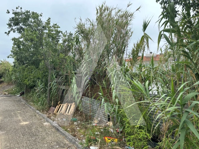 Terreno para Venda em Ajuda Foto 7
