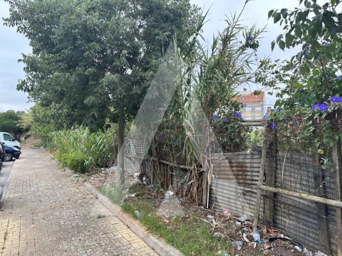 Terreno para Venda em Ajuda Foto 9