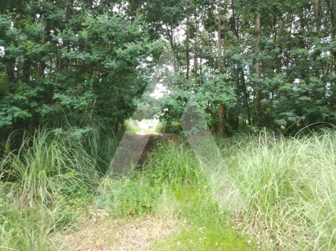 Terreno para Venda em Loureiro Foto 2