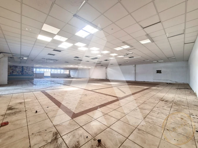 Armazém para Venda em Quinta do Anjo Foto 19