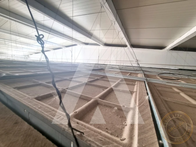 Armazém para Venda em Quinta do Anjo Foto 20