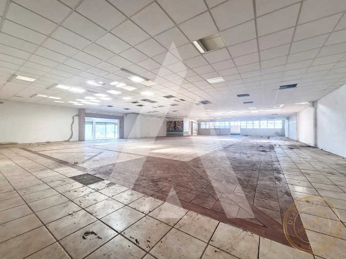 Armazém para Venda em Quinta do Anjo Foto 21