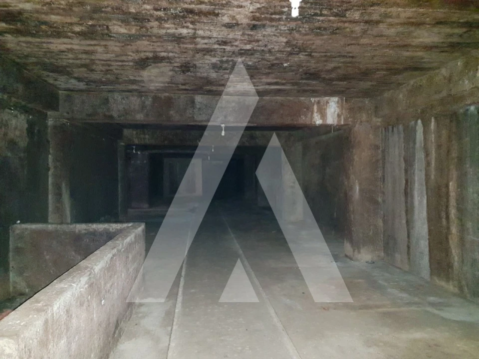 Negócio para Venda em Arcos e Mogofores Foto 14