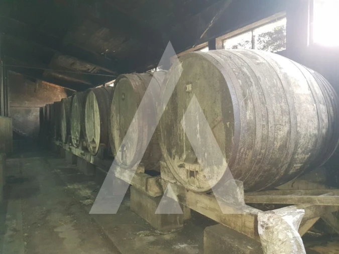 Negócio para Venda em Arcos e Mogofores Foto 7