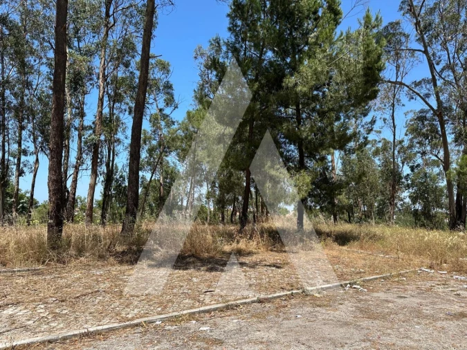 Terreno para Venda em Azeitão (São Lourenço e São Simão) Foto 1