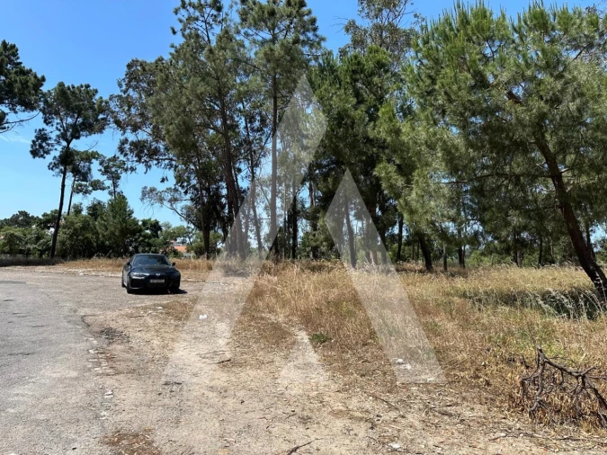 Terreno para Venda em Azeitão (São Lourenço e São Simão) Foto 6