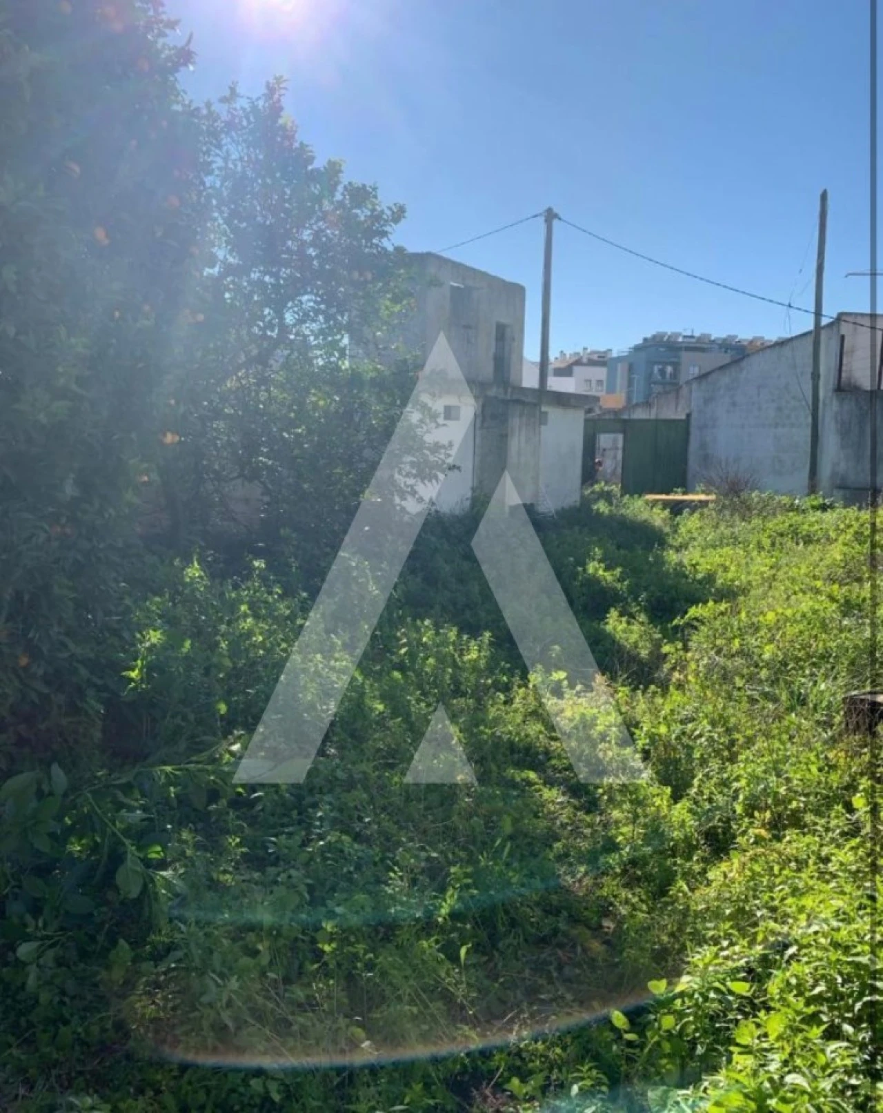 Terreno para Venda em Montijo e Afonsoeiro Foto 3