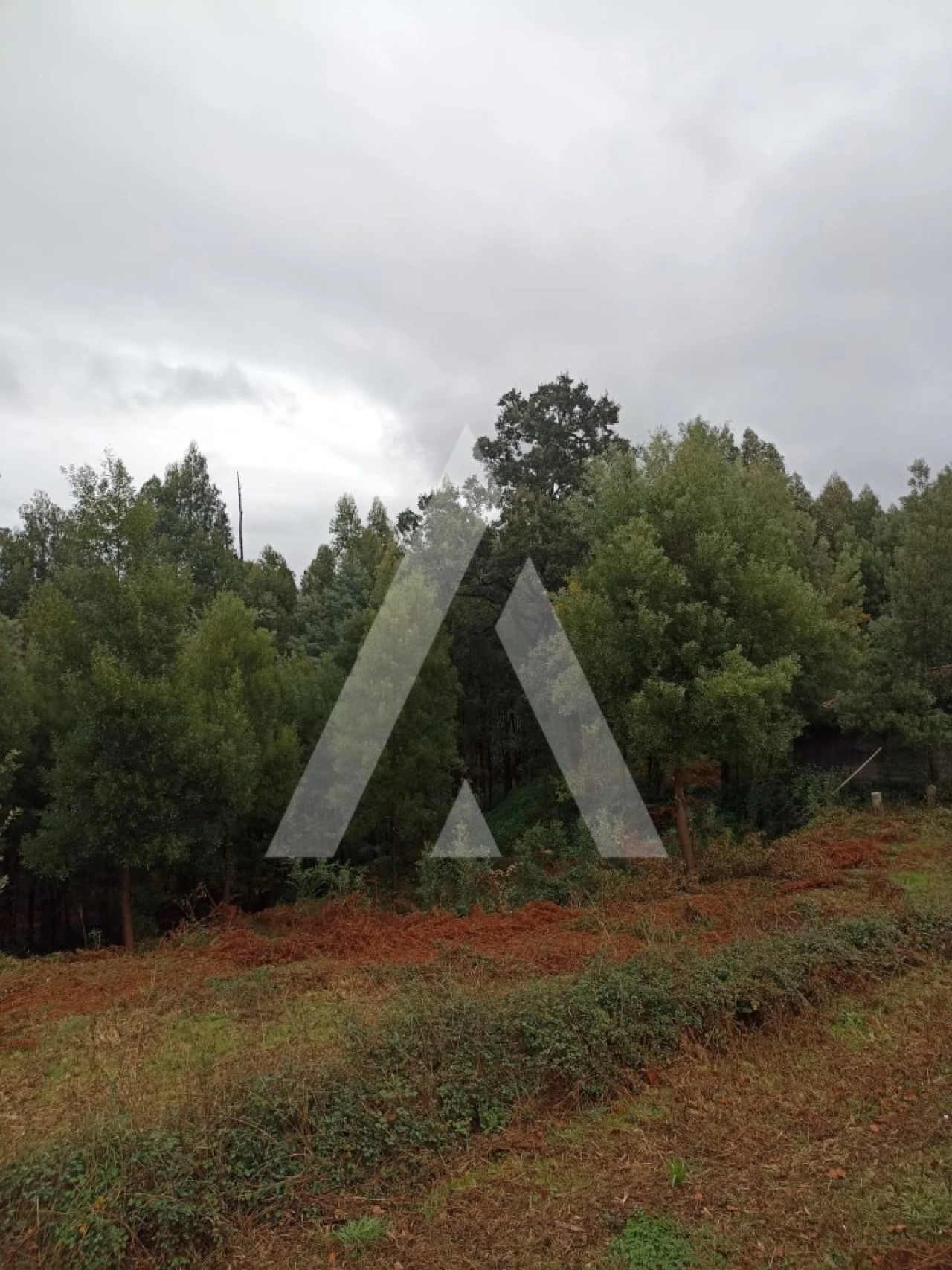 Terreno para Venda em Nogueira, Meixedo e Vilar de Murteda Foto 4
