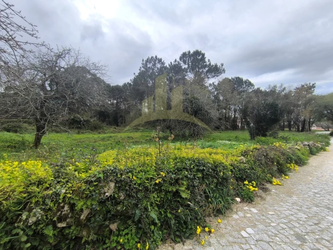 Terreno para Venda em Afife Foto 1
