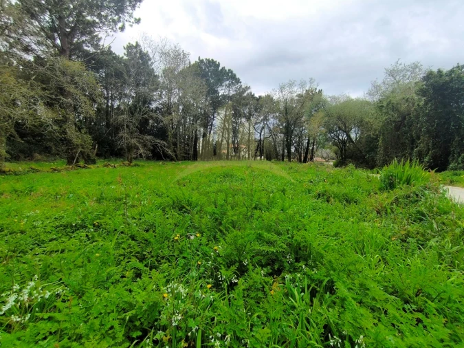 Terreno para Venda em Afife Foto 4