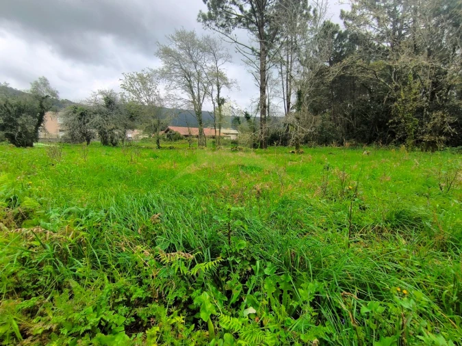 Terreno para Venda em Afife Foto 5