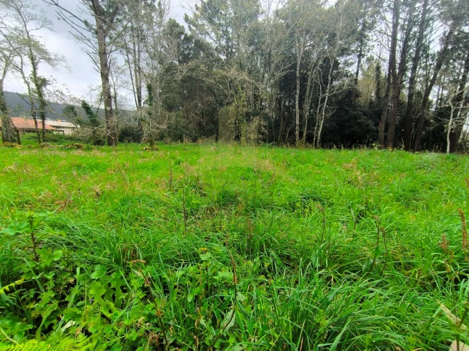 Terreno para Venda em Afife Foto 6