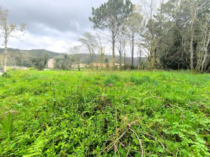 Terreno para Venda em Afife Foto 7