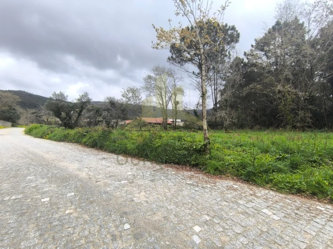 Terreno para Venda em Afife Foto 8