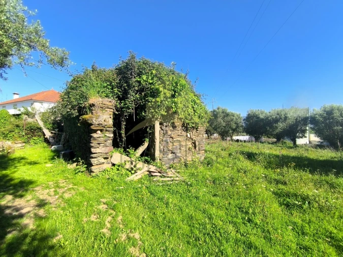 Terreno para Venda em Torre e Vila Mou Foto 3