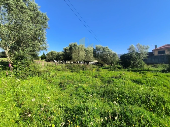 Terreno para Venda em Torre e Vila Mou Foto 4