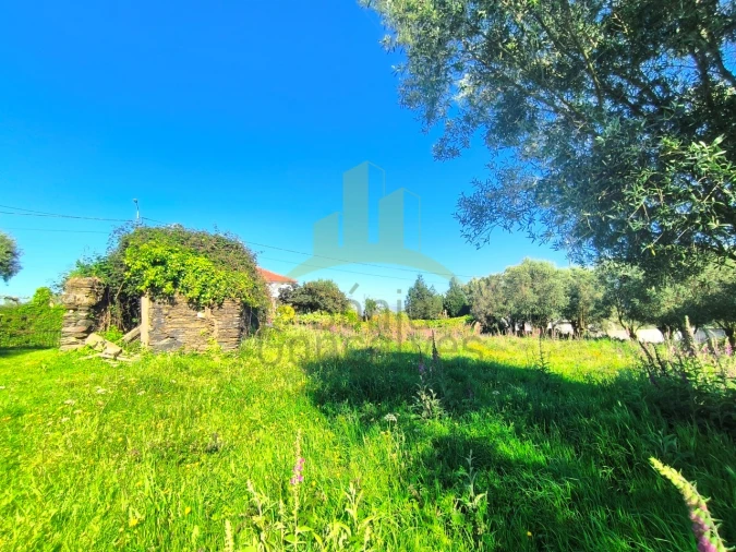 Terreno para Venda em Torre e Vila Mou Foto 5