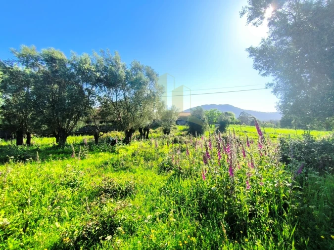 Terreno para Venda em Torre e Vila Mou Foto 7