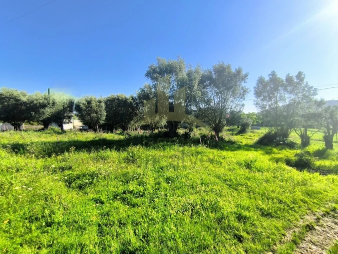 Terreno para Venda em Torre e Vila Mou Foto 8