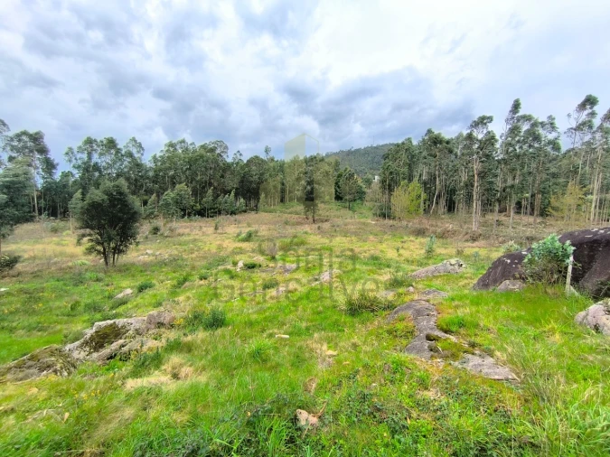 Terreno para Venda em Cardielos e Serreleis Foto 2