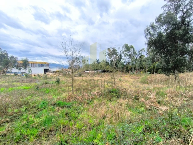 Terreno para Venda em Cardielos e Serreleis Foto 3