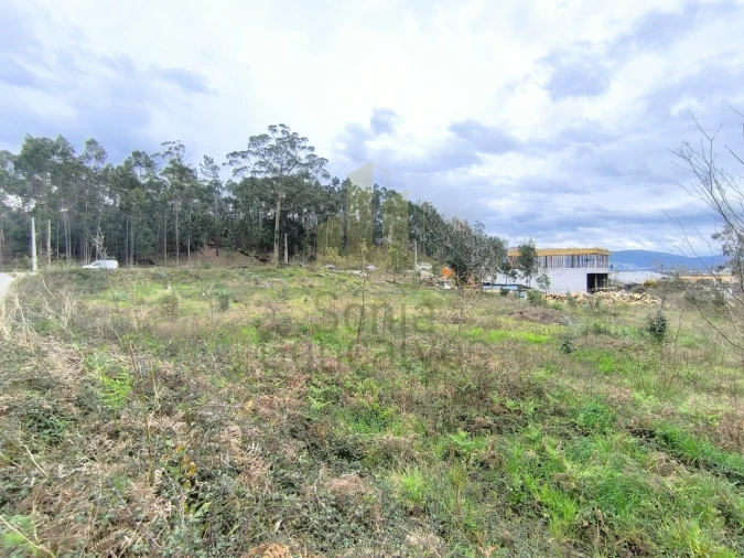 Terreno para Venda em Cardielos e Serreleis Foto 6