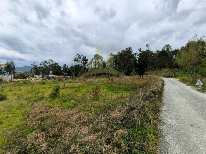 Terreno para Venda em Cardielos e Serreleis Foto 7