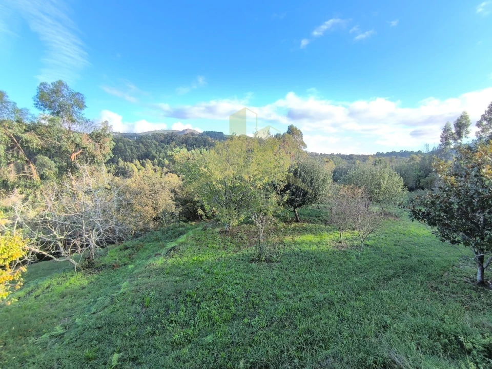 Moradia T5 para Venda em Refoios do Lima Foto 25