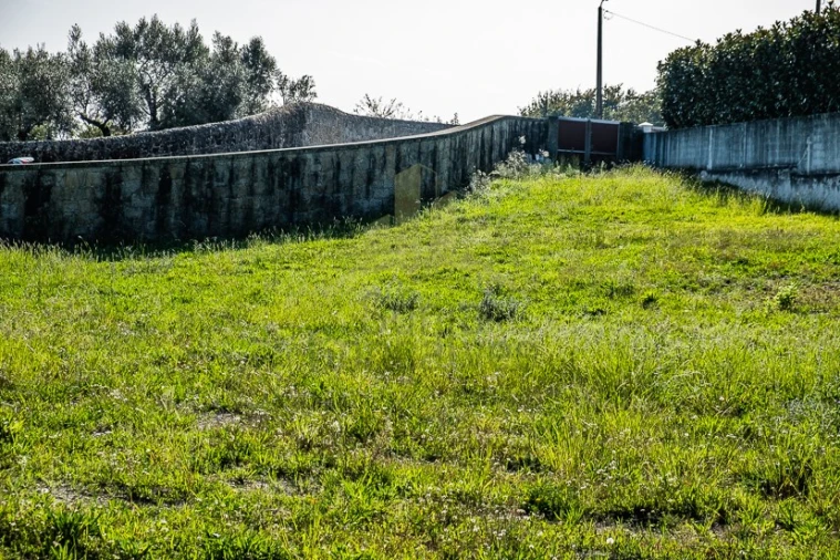 Terreno para Venda em Cardielos e Serreleis Foto 7