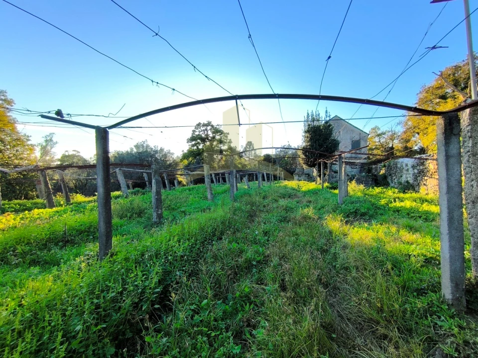 Quinta T3 para Venda em Cardielos e Serreleis Foto 5