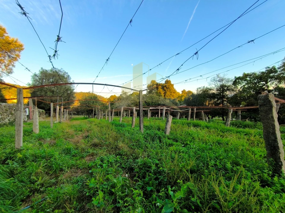 Quinta T3 para Venda em Cardielos e Serreleis Foto 11