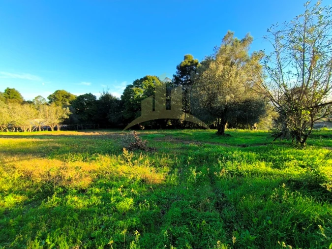 Quinta T3 para Venda em Cardielos e Serreleis Foto 6