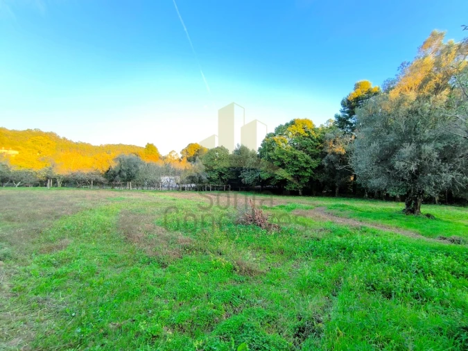 Quinta T3 para Venda em Cardielos e Serreleis Foto 8