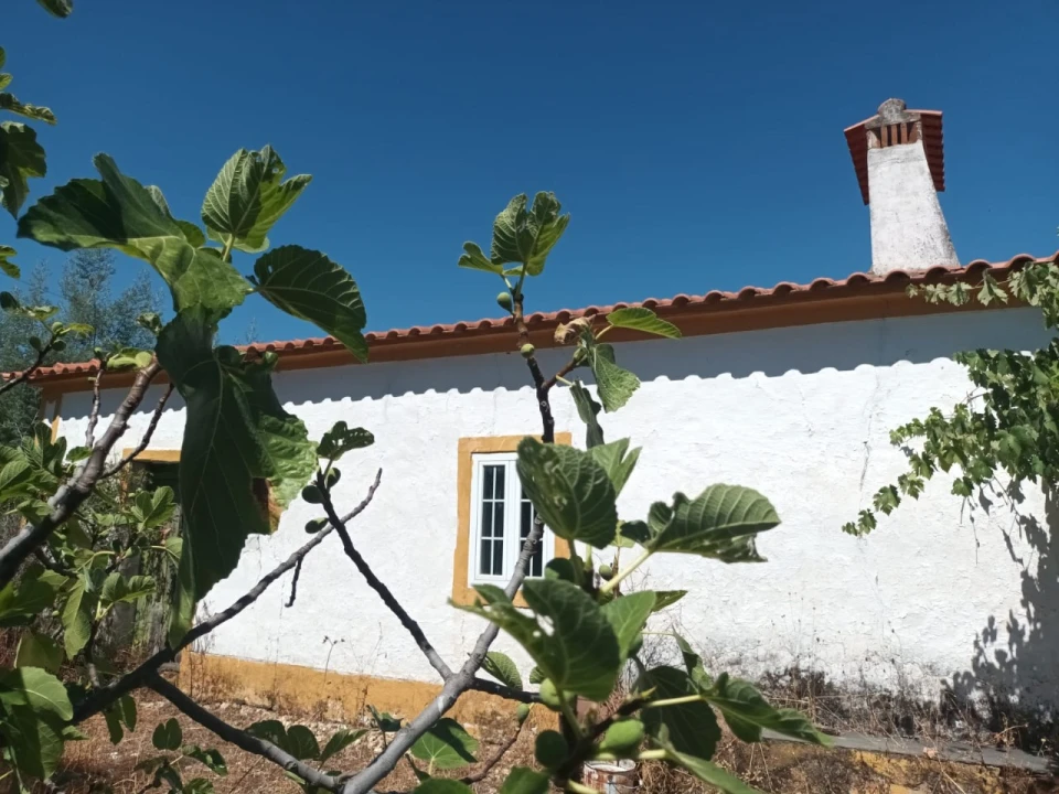 Quinta T4 para Venda em Reguengo e São Julião Foto 15
