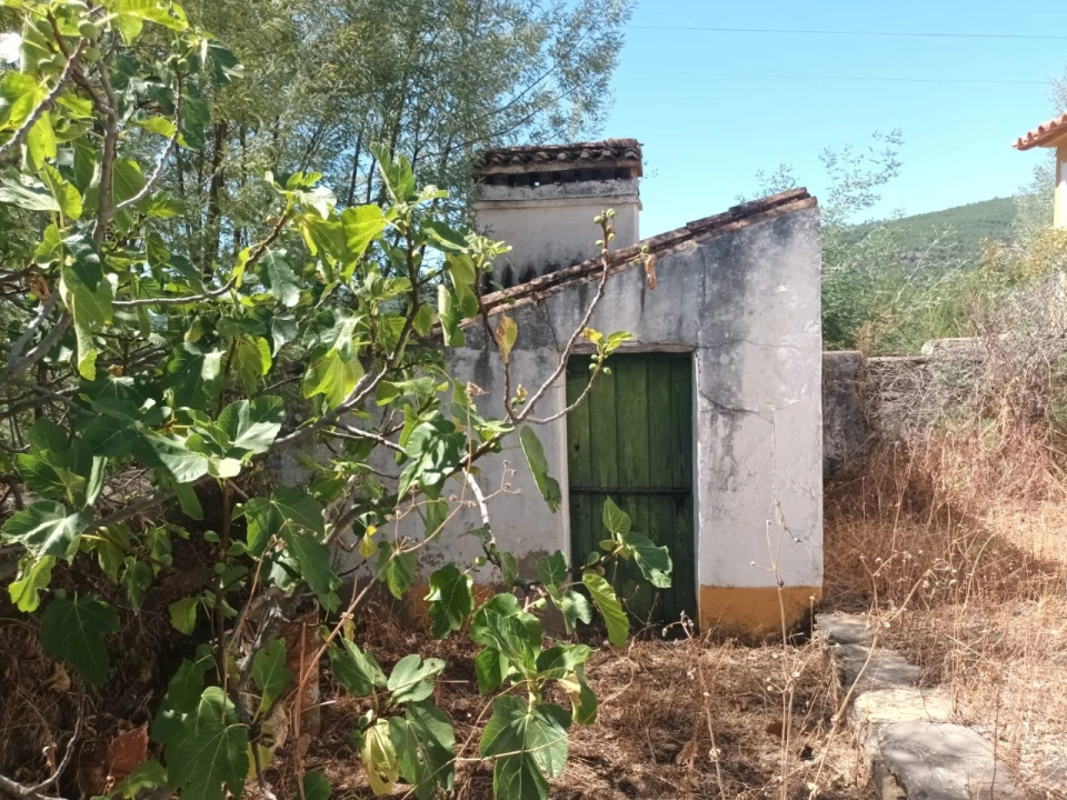 Quinta T4 para Venda em Reguengo e São Julião Foto 16