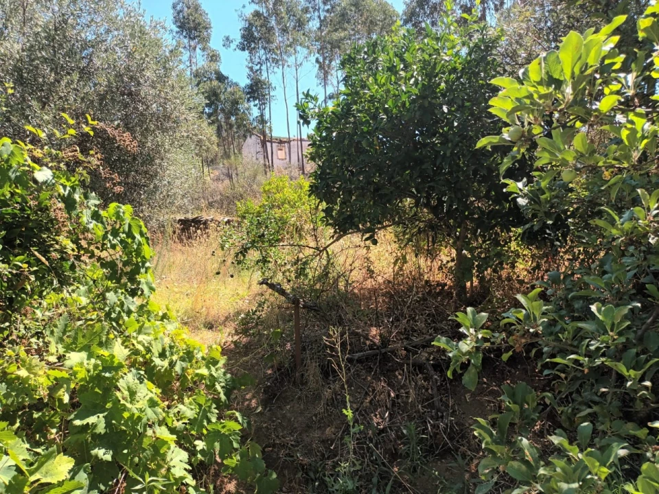 Quinta T4 para Venda em Reguengo e São Julião Foto 25