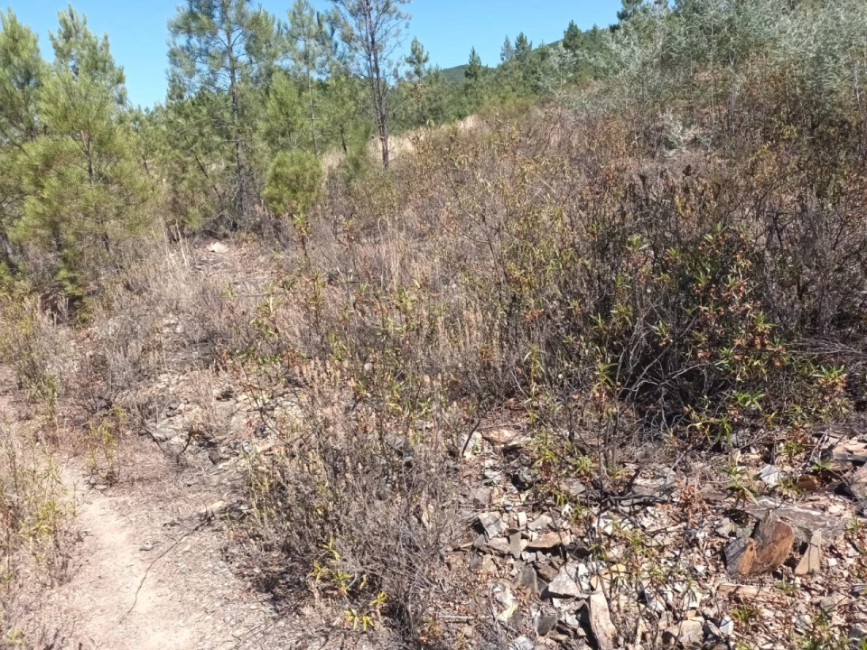 Quinta T4 para Venda em Reguengo e São Julião Foto 30