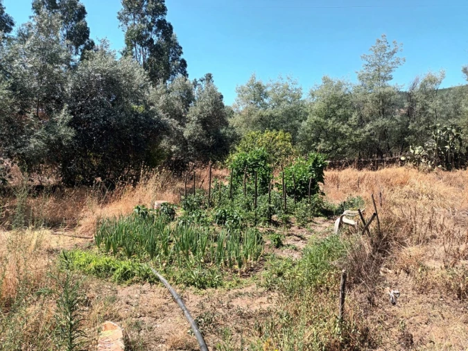 Quinta T4 para Venda em Reguengo e São Julião Foto 19