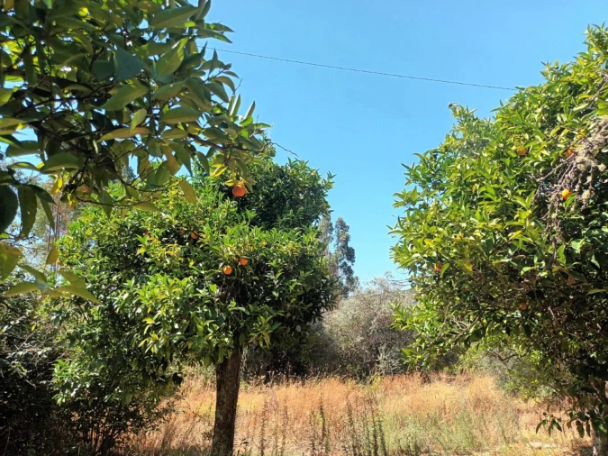 Quinta T4 para Venda em Reguengo e São Julião Foto 20