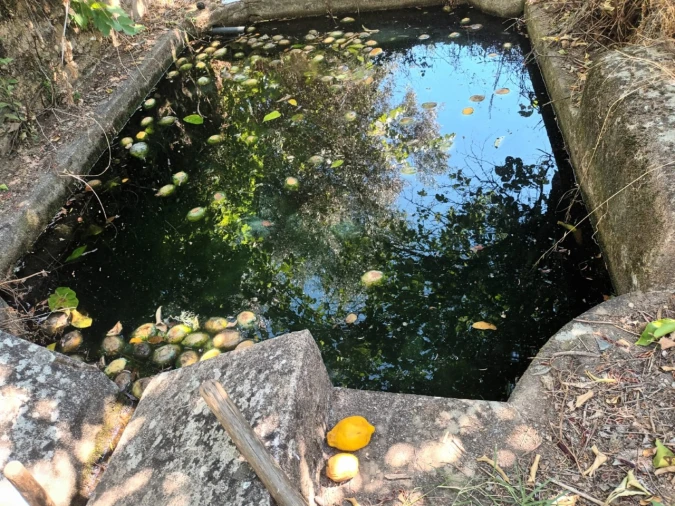 Quinta T4 para Venda em Reguengo e São Julião Foto 22