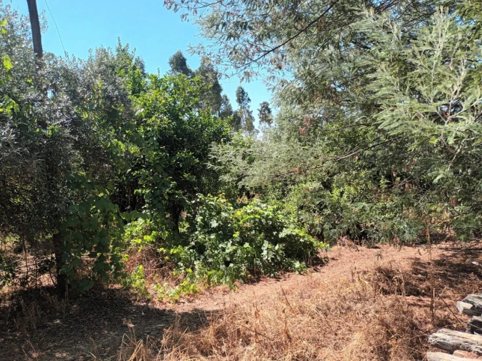 Quinta T4 para Venda em Reguengo e São Julião Foto 24