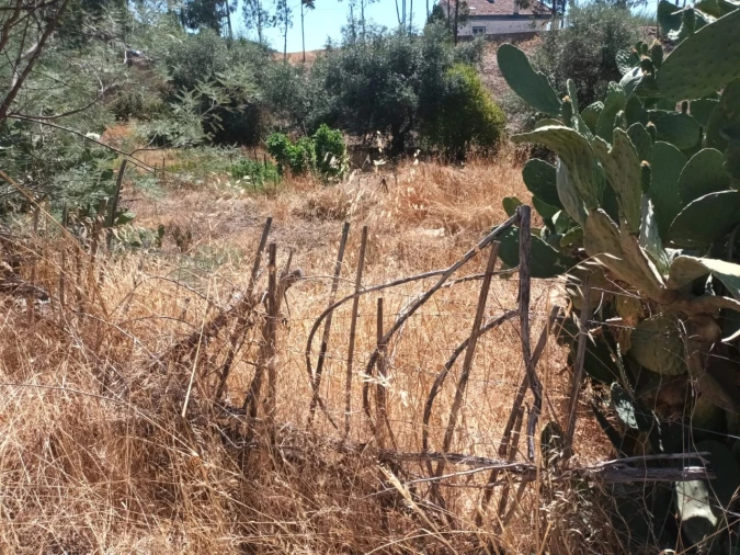 Quinta T4 para Venda em Reguengo e São Julião Foto 27