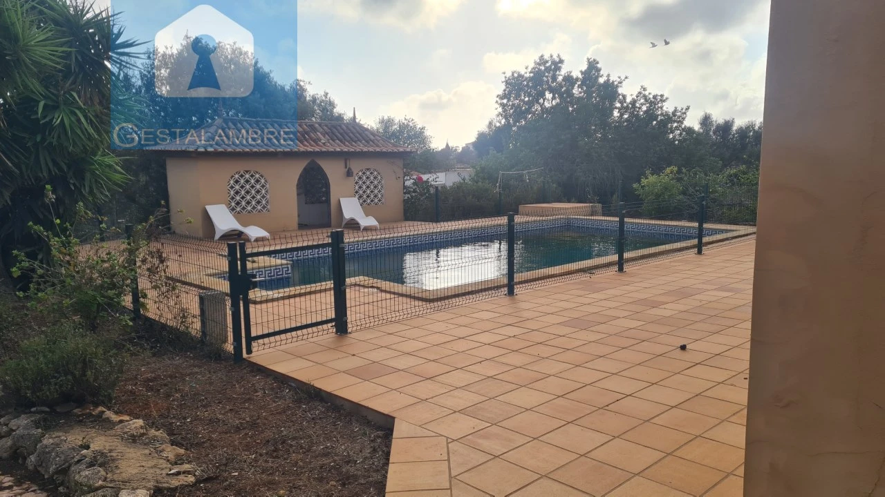 Quinta T5 para Venda em Guia Foto 2