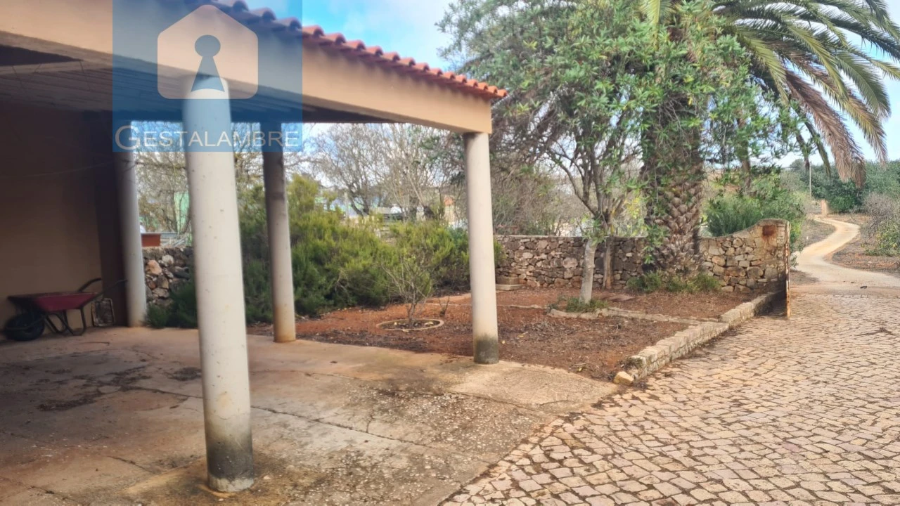 Quinta T5 para Venda em Guia Foto 9