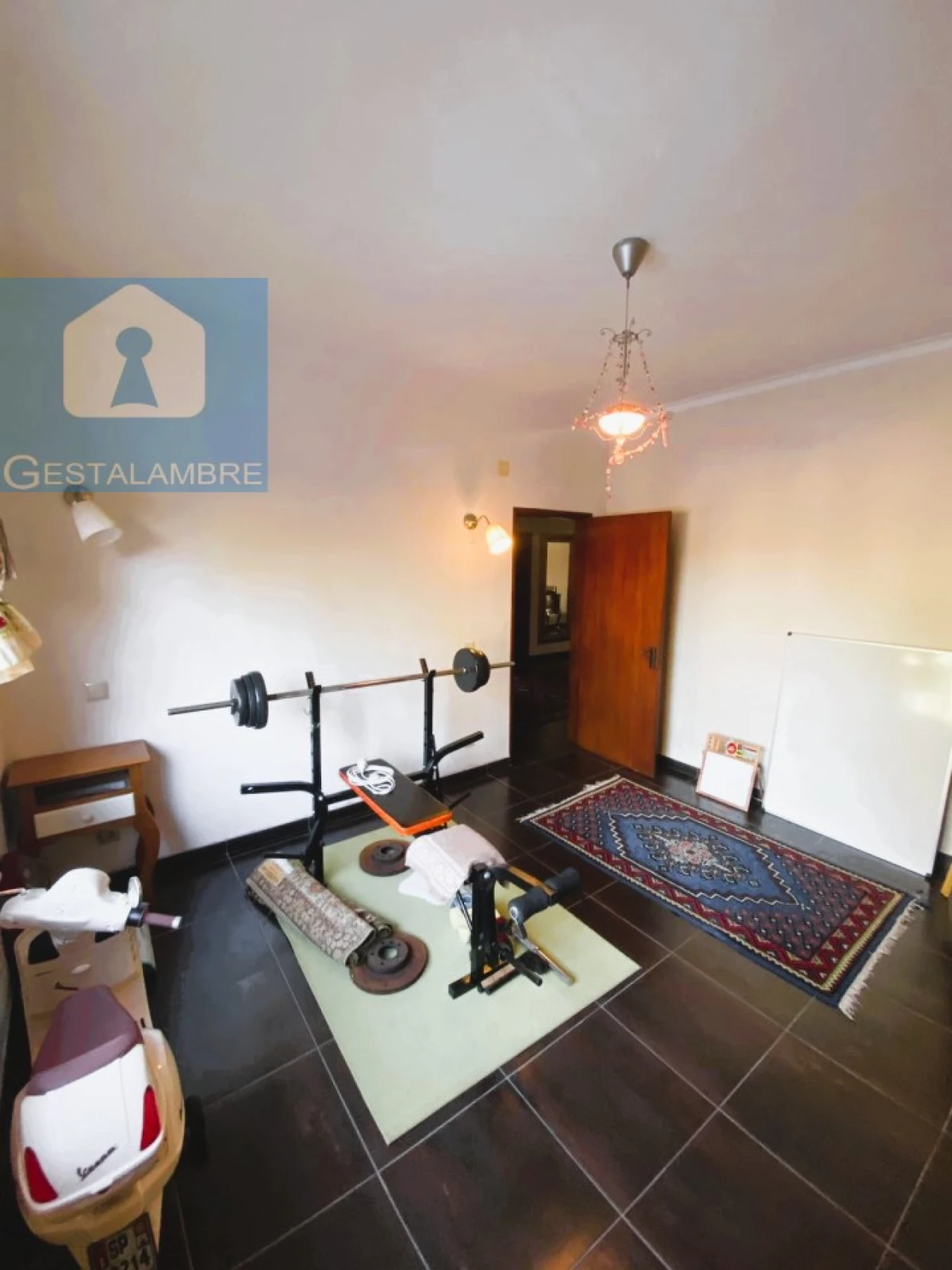 Quinta T5 para Venda em Guia Foto 11